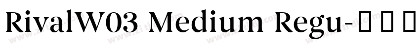 RivalW03 Medium Regu字体转换